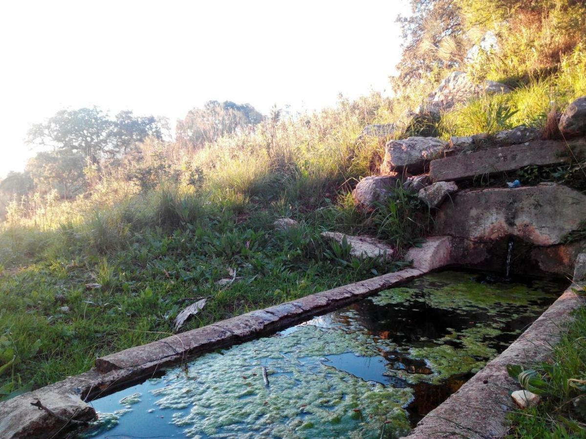 Las Parras Руте Экстерьер фото